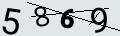 verifycode